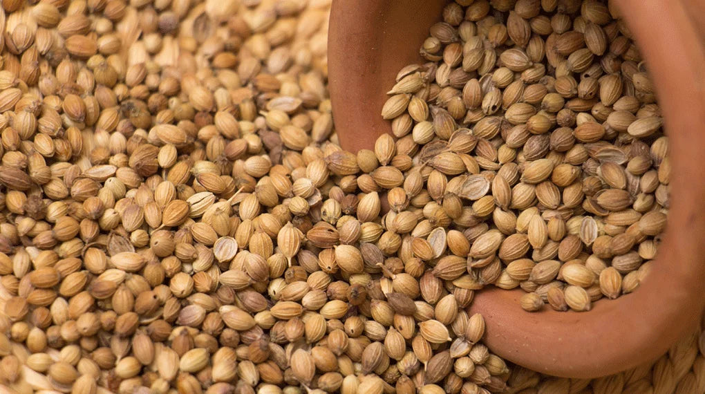 Whole Coriander (Dhaniya)