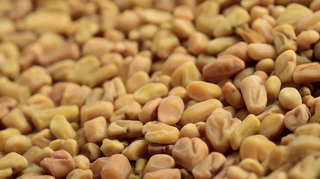 Whole Fenugreek Seeds (Methi)