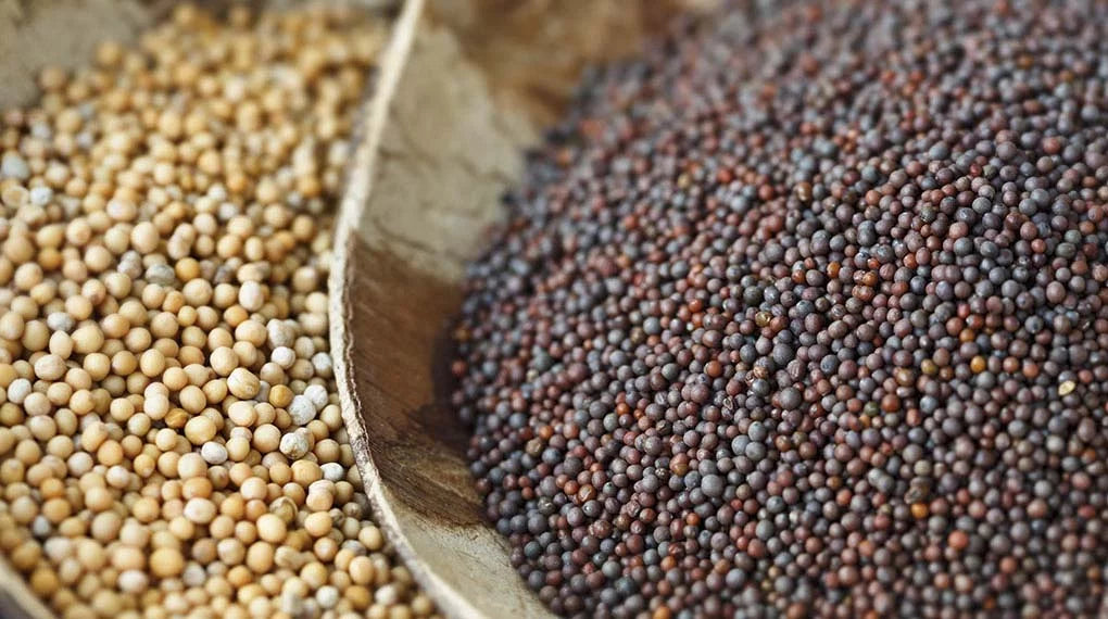 Whole Black Mustard Seeds