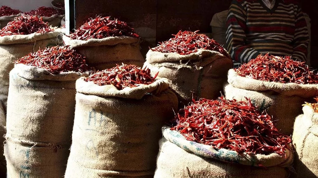 Red Rajah Whole Red Chillies 200g – Rajah Spices